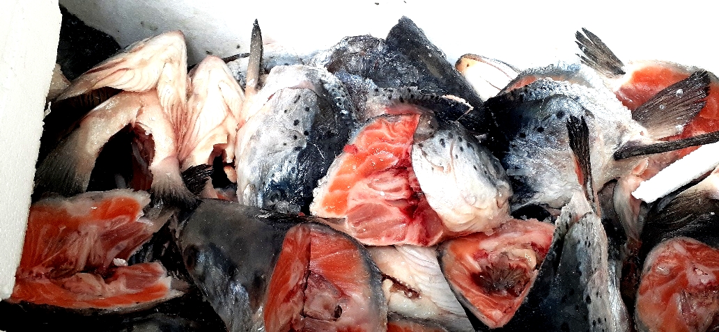 Суповой набор из лосося Морепродукты N1